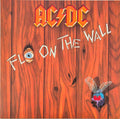 Fly On The Wall
