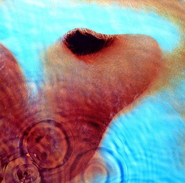 Meddle