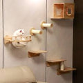 Wall-Mounted Cat Shelves