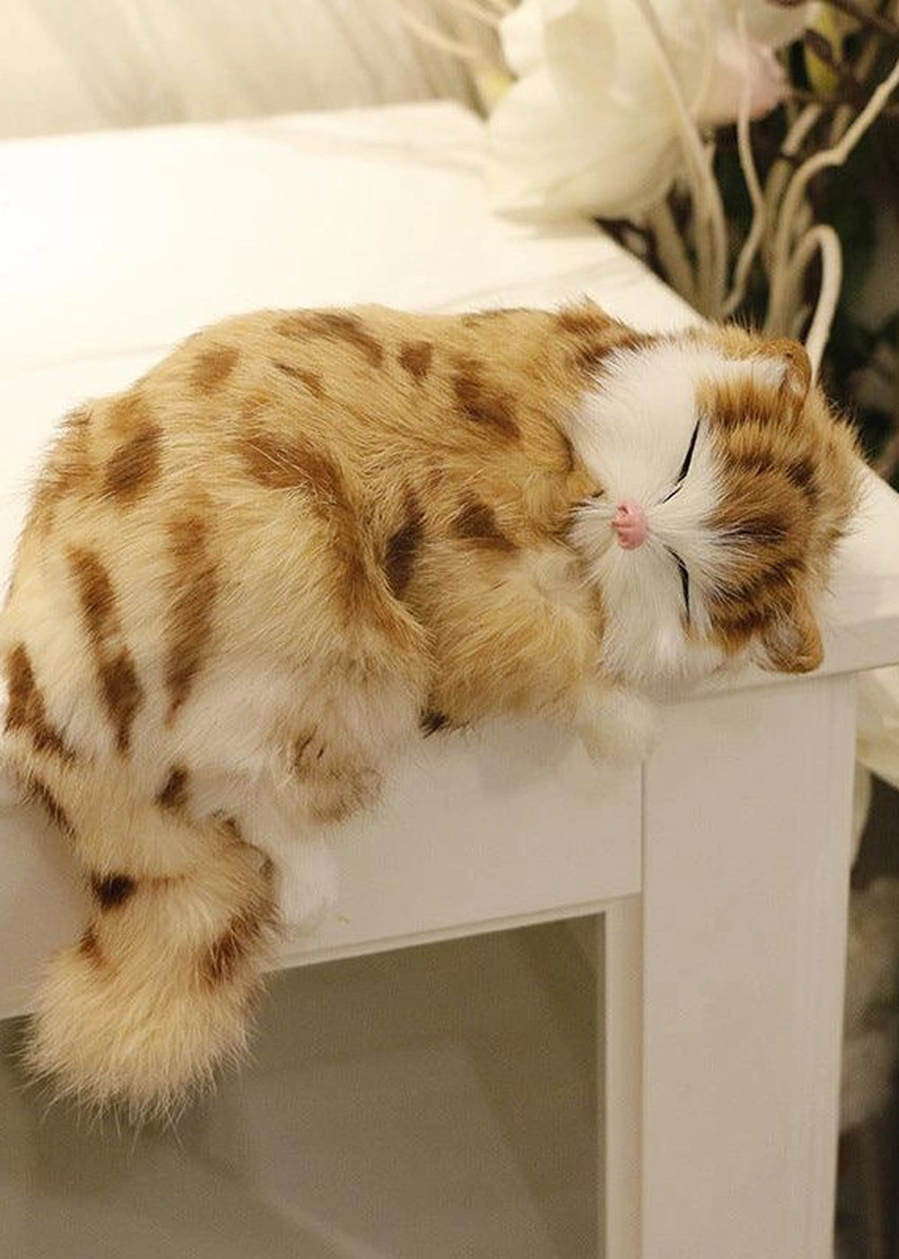 Sleeping Cat Plush Toy Set - Realistic Doll - optimized image