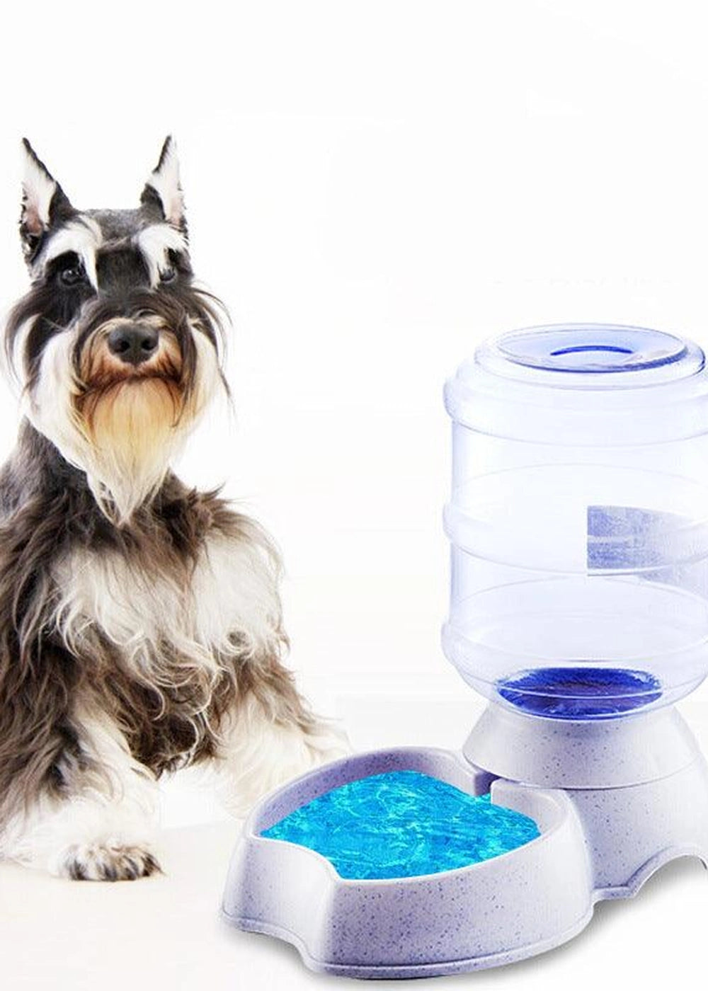 Smartpaws Automatic Pet Feeder - Drinking Water