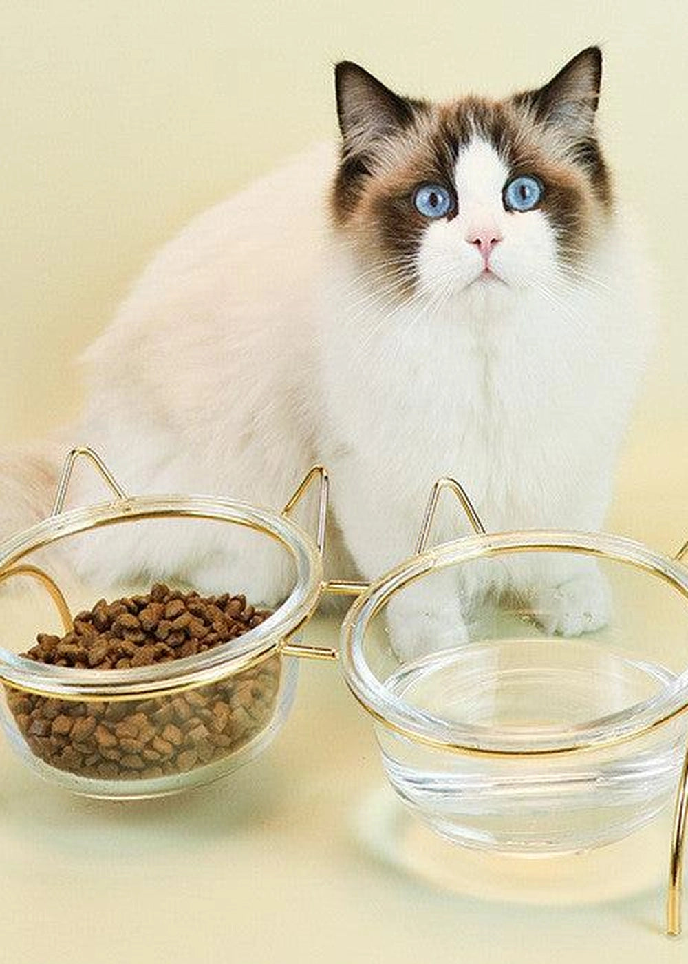 Sparkling Glass Cat Bowl With Elevated Rack - optimized image