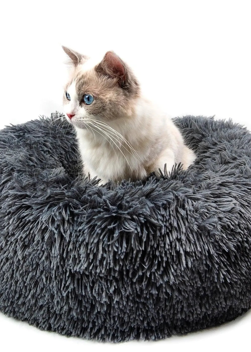 Plush Donut Pet Bed for Small Dogs & Cats - optimized image